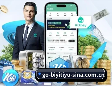 必一体育 APP