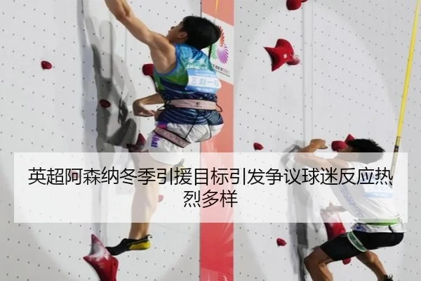 英超阿森纳冬季引援目标引发争议球迷反应热烈多样